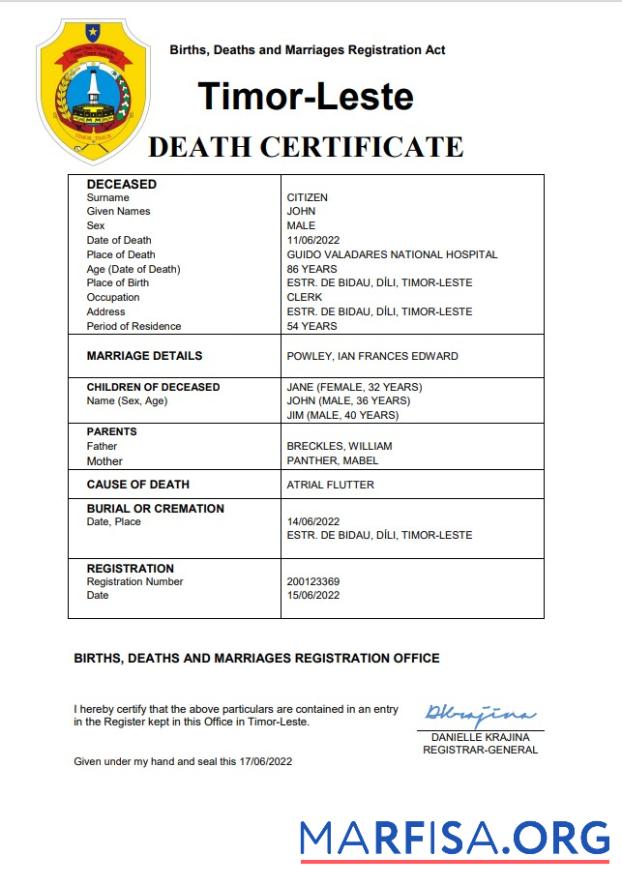 Printable Timor Leste vital record death certificate Word and PDF template